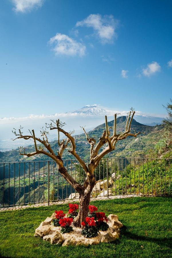 Da Vinci Luxury Panoramic - Collection Lejlighed